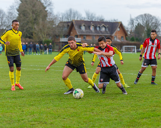 Brentford Vs Watford©Richard Brooks Photography20151219300