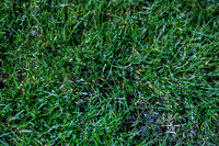 Thamesmead Town Vs Witham Town FC ©Richard Brooks Photography