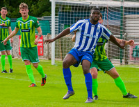 Thamesmead Town 1 Chertsey Town 0